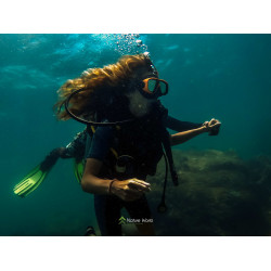Discover Scuba Diving For Beginners